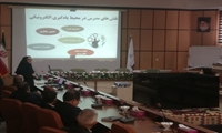 کارگاههای آموزشی